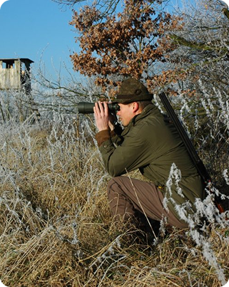 Chasse et observation