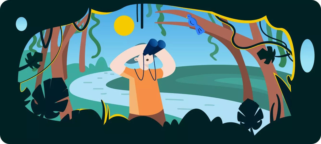 Jumelles ornithologie