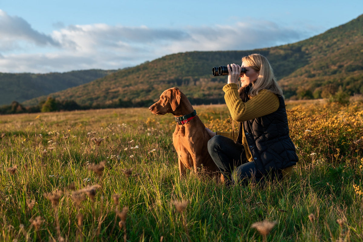 Chasse