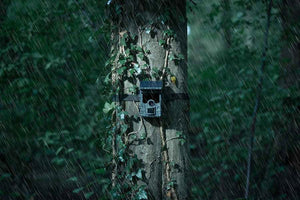 Caméra de chasse Camouflage EZ-SOLAR WIFI 4K