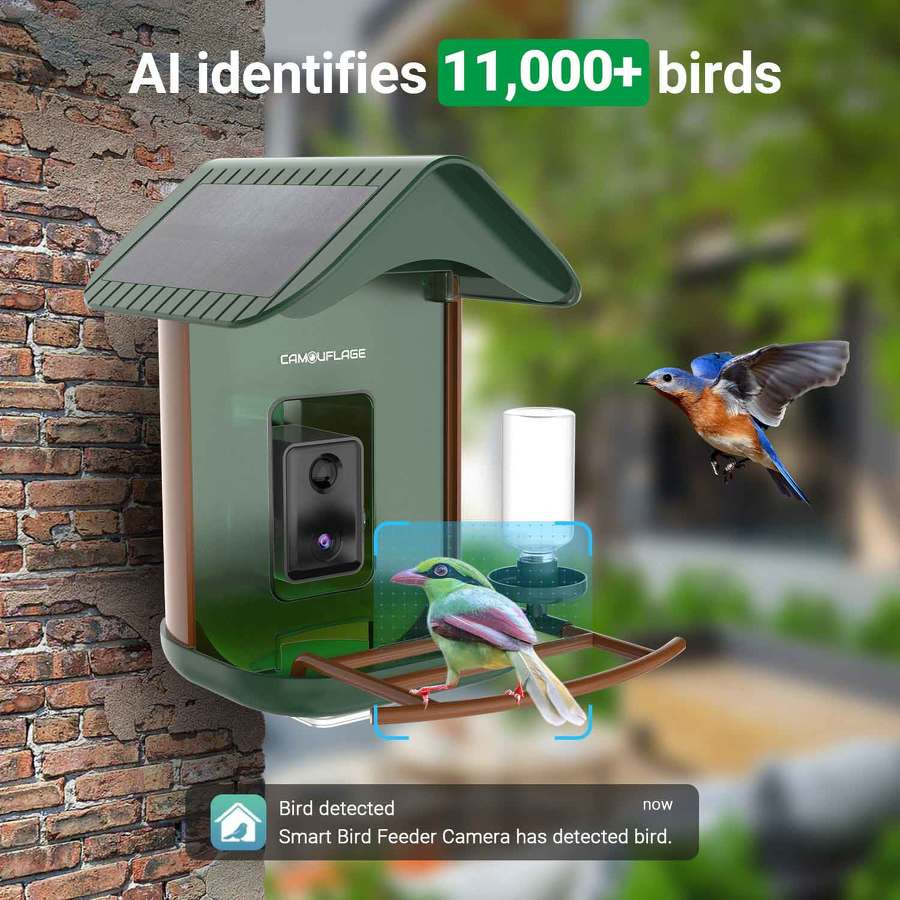 Mangeoire à Oiseaux Intelligente Avec Caméra 2K - Reconnaissance IA - Alimentation Solaire - Anti-écureuils - Notifications En Temps Réel