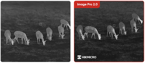 Jumelles de vision thermique HIKMICRO Habrok PRO HQ50LN