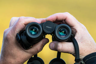 Jumelles Nikon Monarch M5 8X42