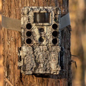 Piège photographique Bushnell Core DS 4K 32 MP Led Noire- Camo