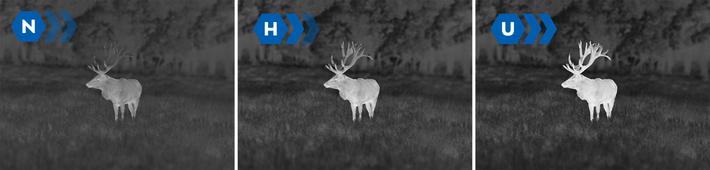 Monoculaire PULSAR thermique AXION XG35 compact et connecté