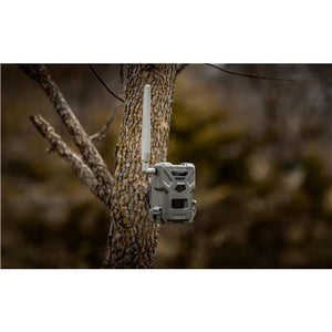 Camera Spypoint Flex-M