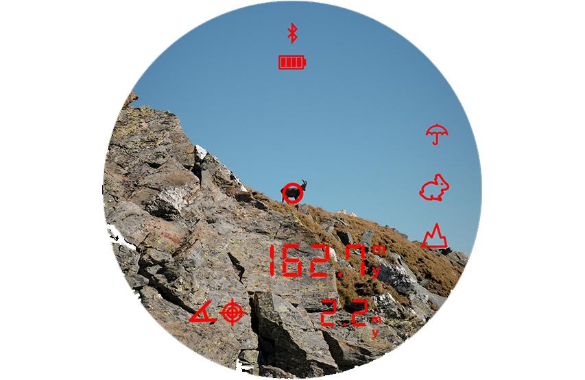 Jumelles Steiner eRanger LRF 10x42 télémètre intégré