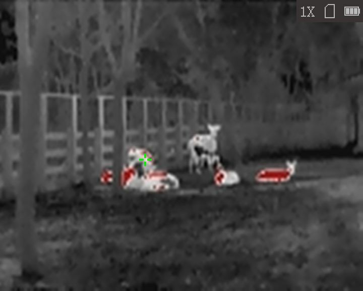 Monoculaire de vision thermique HiKMICRO Lynx LC06 S connecté