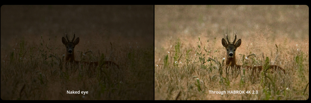 Jumelles thermique Hikmicro HABROK 4K HE25L 2.0