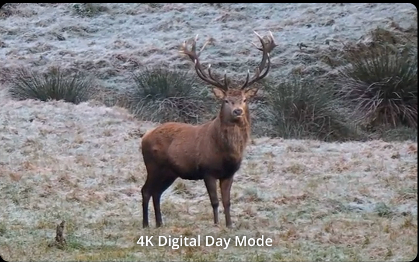 Jumelles thermique Hikmicro HABROK 4K HE25L 2.0