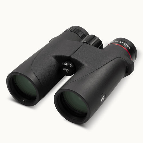 Jumelles Kite Falco 8x32