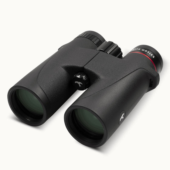 Jumelles Kite Falco 8x32