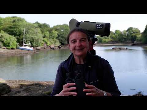 Jumelles Kite APC 12×42 stabilisées