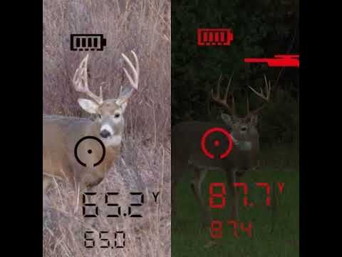 Jumelles Bushnell FUSION X télémétrique 10x42